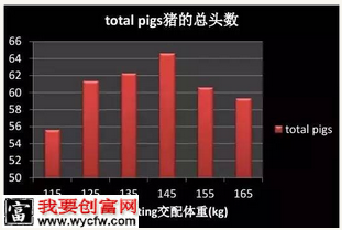 母猪断奶后多卵泡被选择生长和排卵决定最大的窝产仔数