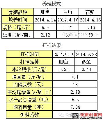 苏北地区高密度精养鲫鱼的饲料选择