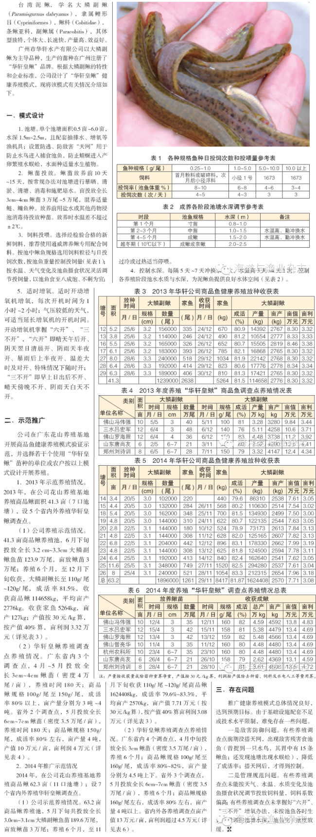 “华轩皇鳅”健康养殖模式：亩利润超过四万五