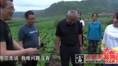 【农博士】白菜重茬种植问题多