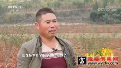 大哥放弃跑运输回乡种植辣椒，年赚50多万，实现致富梦