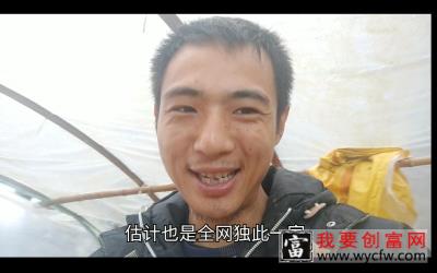 小魏养殖，小魏养殖技术厉害到令人发指的地步，破了全网多个第一