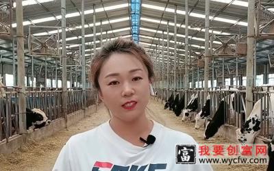 肉牛养殖技术3条金科玉律每天分享养殖小知识！