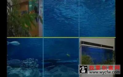 观赏鱼养殖技术视频01-在线收看