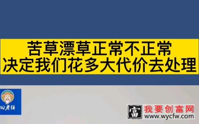 苦草漂草正常不正常，决定我们花多大代价去处理。田老头螃蟹养殖技术