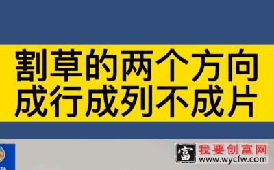 割草可以保持水草活力，成行成列不成片。田老头螃蟹养殖技术