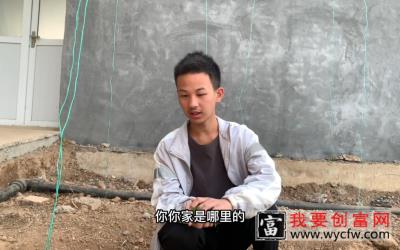 园艺技术专业学生线场教学，进入大棚学习种植技术，先从拔草学起.MP4