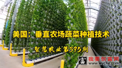 美国：垂直农场蔬菜种植技术