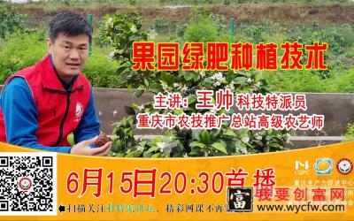 王帅高级农艺师：果园绿肥种植技术