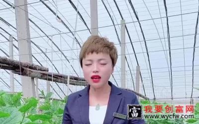 纯分享种植技术 农药十大配方的混配配方你知道怎么配吗？