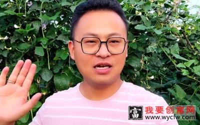 夏季豆角种植技术，学会这几点，减少病害虫害，提高产量不用愁