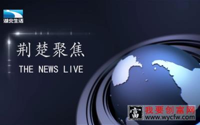 重磅，湖北电视台报道我司自体毛囊体外扩增再生种植技术