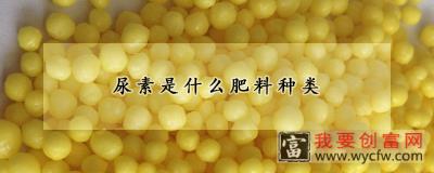 尿素是什么肥料种类