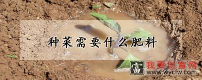 种菜需要什么肥料