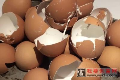 鸡蛋壳做肥料正确的做法