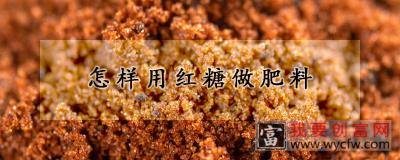 怎样用红糖做肥料