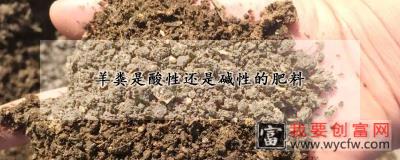 羊粪是酸性还是碱性的肥料