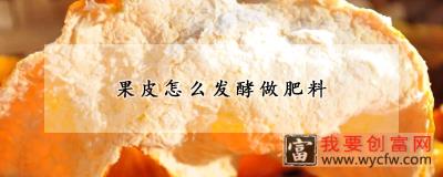 果皮怎么发酵做肥料