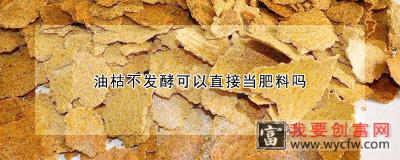 油枯不发酵可以直接当肥料吗