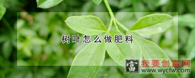 树叶怎么做肥料