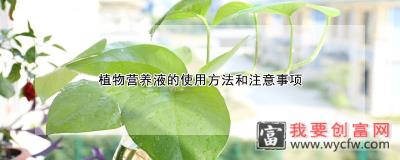 植物营养液的使用方法和注意事项