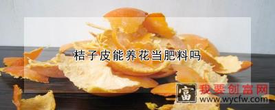 桔子皮能养花当肥料吗