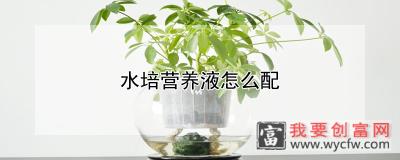 水培营养液怎么配