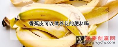 香蕉皮可以做养花的肥料吗