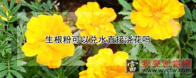 生根粉可以兑水直接浇花吗