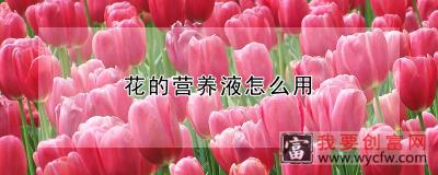 花的营养液怎么用