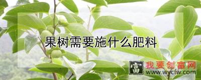 果树需要施什么肥料