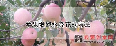 苹果发酵水浇花的方法