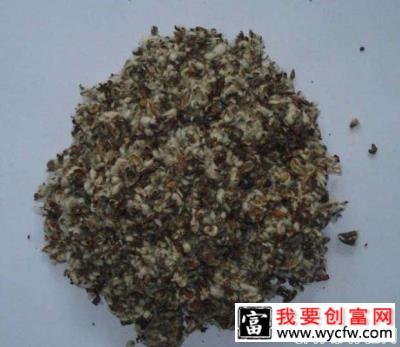 栽培灵芝需要哪些材料？