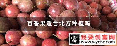 百香果适合北方种植吗