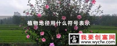 植物地径用什么符号表示