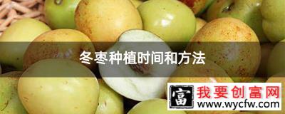 冬枣种植时间和方法