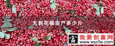 无刺花椒亩产多少斤