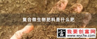 复合微生物肥料是什么肥