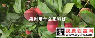 果树用什么肥料好