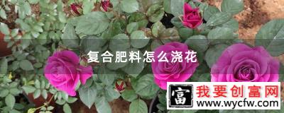 复合肥料怎么浇花