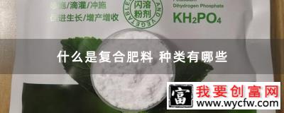 什么是复合肥料 种类有哪些