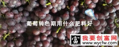 葡萄转色期用什么肥料好