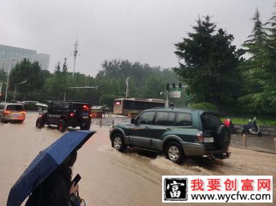 降损提示！为暴雨中的河南苗木人加油