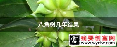 八角树几年结果