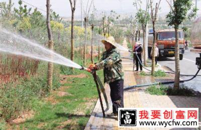 盆栽花卉的日常养护该怎样浇水