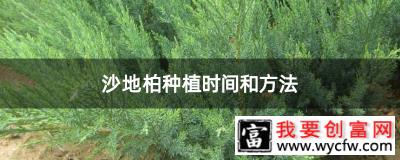 沙地柏种植时间和方法