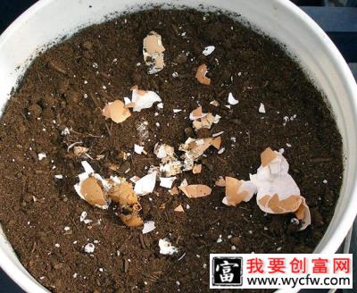 5种养花“万能土”，花不烂根，根系壮!