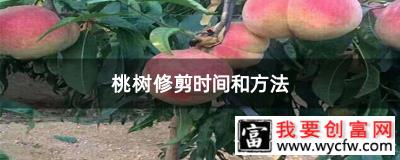 桃树修剪时间和方法