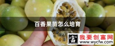 百香果苗怎么培育