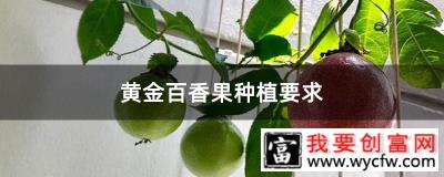 黄金百香果种植要求